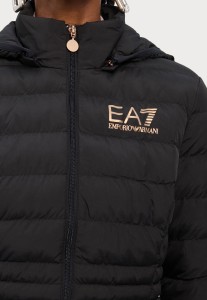 e0bd67cc6480eea2e4c99c65c30bcb5a.jpg